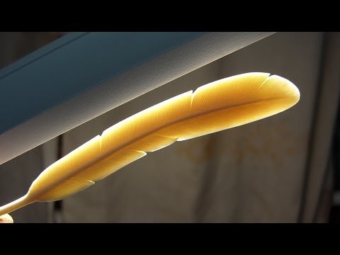 Видео: Урок резьбы по кости. Перо часть 2