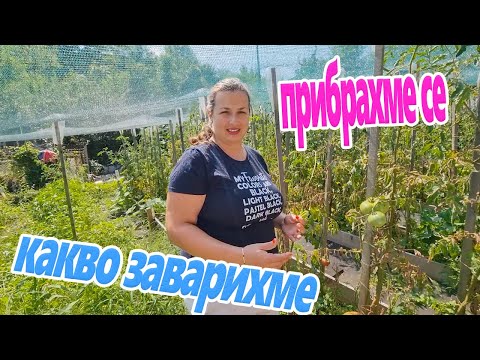 Видео: Живот на село: Прибрахме се у дома! Какво ни чака в градината?