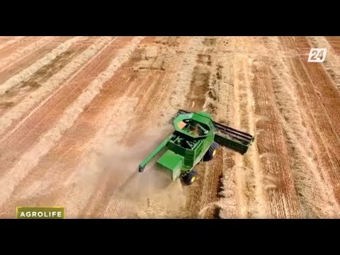 Видео: Еліміздің астық нарығы | Agrolife