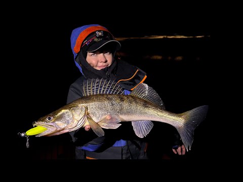Видео: ТАКОГО ВЕЧЕРА ЕЩЁ НЕ БЫЛО! ОНА СНОВА НАЛОВИЛА! Рыбалка на спиннинг на вечёрке! Ловля щуки и судака