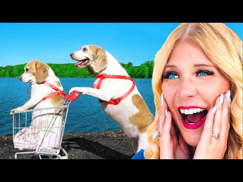 Видео: САМЫЕ СМЕШНЫЕ животные в мире!