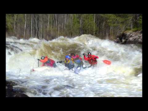 Видео: колвица вся