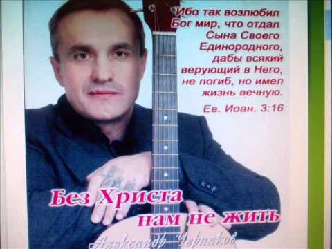 Видео: Цветок сквозь бетон