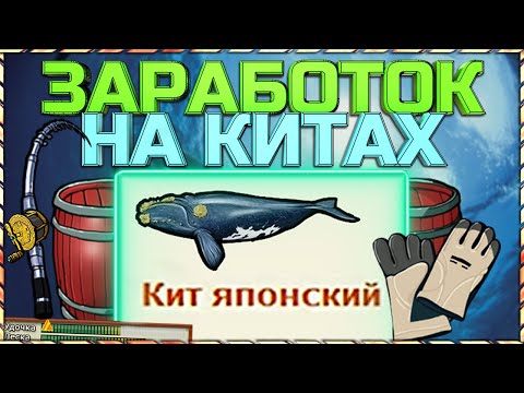 Видео: РР3 КРОНОЦКИЕ КИТЫ - ЛУЧШИЙ ЗАРАБОТОК!