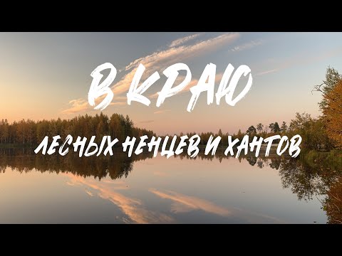 Видео: В краю лесных ненцев и хантов