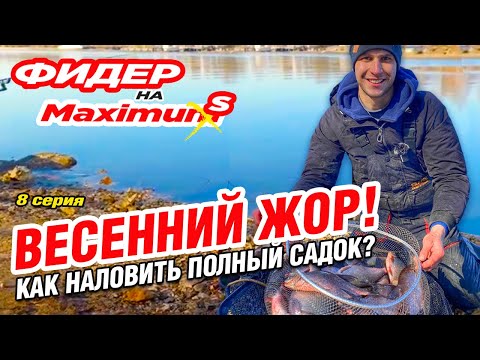 Видео: Фидер на Максимум! Серия 8. Весенний жор! Как наловить полный садок?
