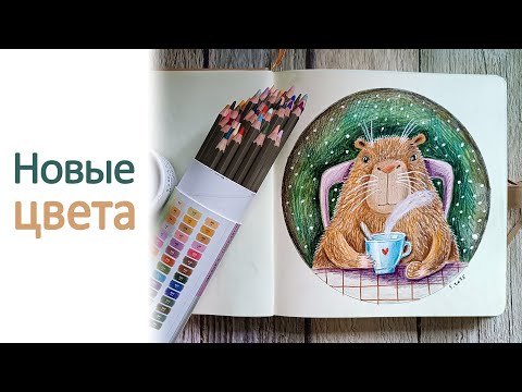 Видео: Новые цвета карандашей Малевич. Обзор. Рисую капибару.