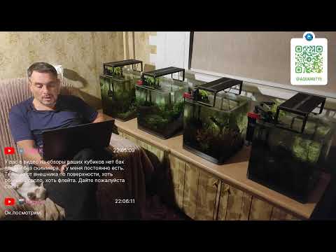 Видео: Ненаучный аквастрим 28 сентября 2025 г.