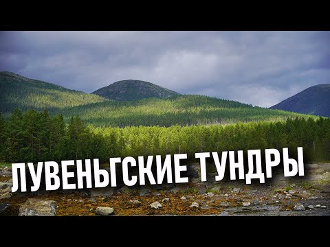 Видео: За полярным кругом: Белое море, Лувеньгские тундры,  Кандалакшинский берег, Терский берег