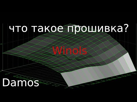 Видео: Прошивка Общий взгляд DAMOS WINOLS