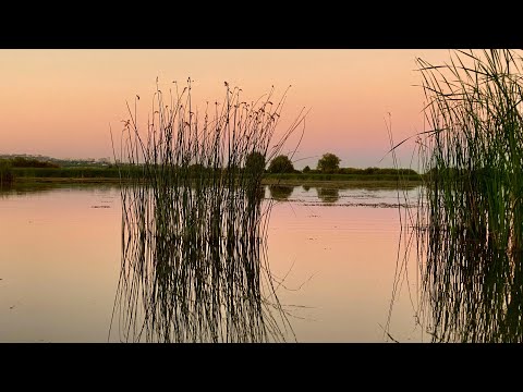 Видео: SUP на озере Гатное