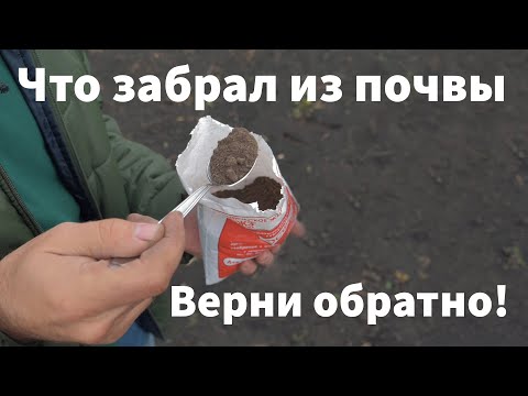 Видео: Советы биолога Дмитрия Скотникова