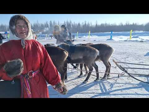 Видео: Ямал. Праздник народов севера. Новый Уренгой 2024