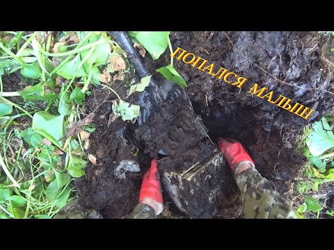 Видео: Стоило залезть в канал и находки пошли!