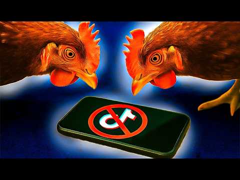 Видео: КОММЕНТАРИИ  В  ТИКТОКЕ