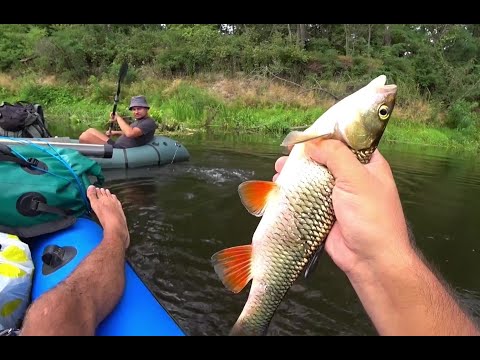 Видео: Сплав на пакрафтах по р.Ворскла с. Миськи Млыны - с. Михайловка. Отдых и рыбалка на спиннинги.