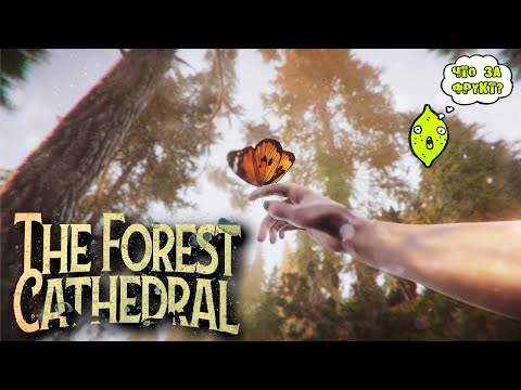Видео: THE FOREST CATHEDRAL или КРАСНЫЕ ЧЕЛОВЕЧКИ И ДОХЛАЯ РЫБА