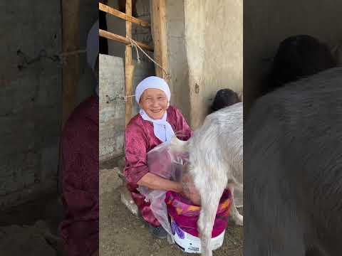 Видео: ВАНда ЖАШАШКАН КЫРГЫЗДАР ТУУРАЛУУ ЖАЛПЫ МААЛЫМАТ...