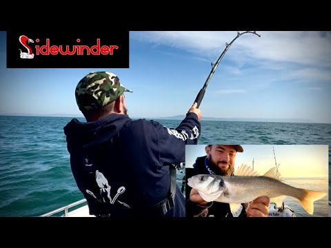 Видео: ГИГАНТСКАЯ акула-лисица! 🔥/ рыбалка с маленькой лодки в Великобритании 🇬🇧 самая большая акула, ко...