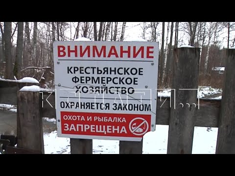 Видео: Фермера, вырывшего пруд для платной рыбалки, обвинили в уничтожении реки