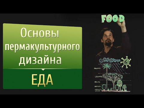 Видео: Основы пермакультурного дизайна. Еда.