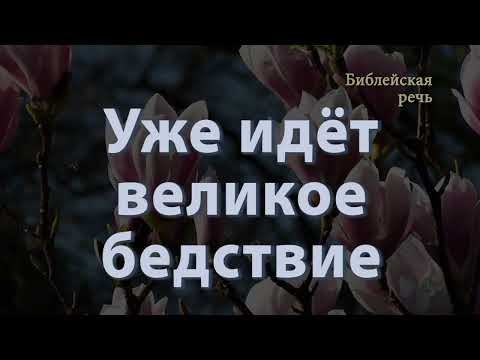 Видео: Если портал для спасения Свидетелей Иеговы откроется только на 30 секунд? Шокирующие последствия!