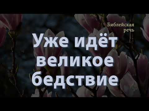 Видео: Что, если портал для спасения Свидетелей Иеговы откроется ровно на 30 секунд?