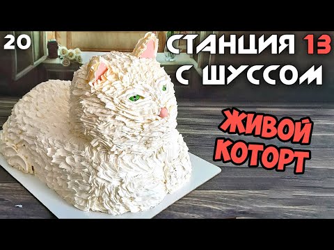 Видео: Шусс делает коТорт 🐱🍰 Space Station 13 (20)
