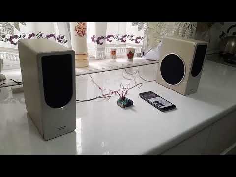Видео: HI-FI microsystem Cameron ,с усилителем PAM-8403