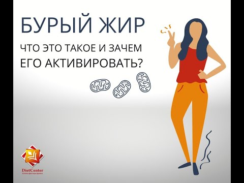 Видео: Жир, который помогает похудеть