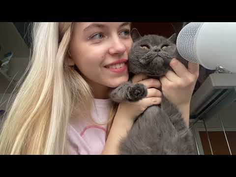 Видео: Асмр мега агро 🎀