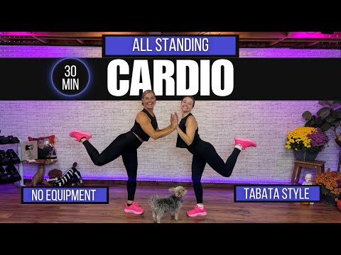 Видео: Табата стоя | Кардиотренировка без оборудования (высокая и низкая ударная нагрузка) всего 30 минут