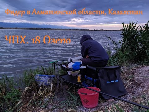 Видео: Рыбалка на фидер. Алматинская область, озеро 18 ЧПХ, 15.05.2020г.