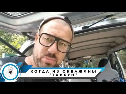 Видео: Абиссинская скважина с органикой, когда вариантов нет