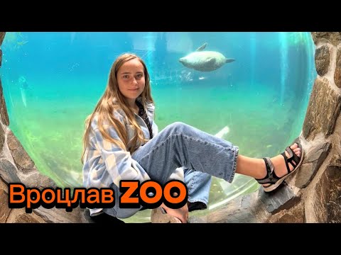 Видео: ВРОЦЛАВСКИЙ ЗООПАРК — Африкариум, ламантины и вечерний Вроцлав