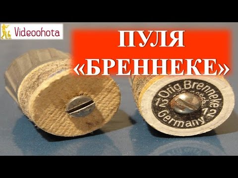 Видео: Пуля "Бреннеке"! Videoohota