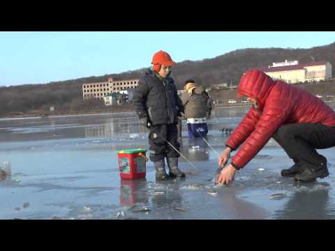 Видео: Зимняя рыбалка. Владивосток, 08.12.2013, ДР,корюшка, махалки.