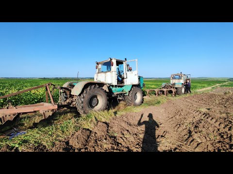 Видео: Другий день оранка😤Треба дощу. Зробили дорогу через поле а плуг не лізе☹