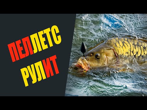Видео: Пеллетс рулит