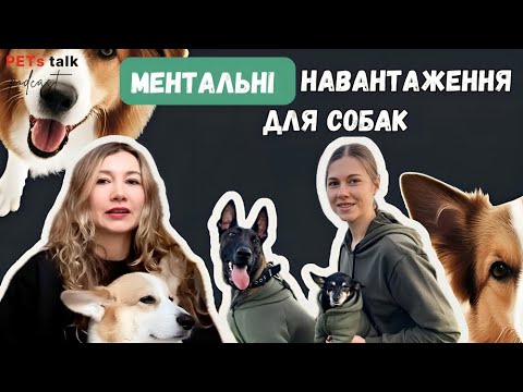 Видео: МЕНТАЛЬНІ навантаження ДЛЯ СОБАК| поведінковий КІНОЛОГ Олександра Журба