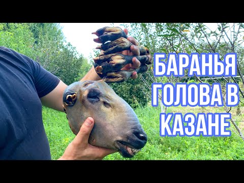 Видео: ГОЛОВА БАРАНА. КАК ПРИГОТОВИТЬ БАРАНЬЮ ГОЛОВУ. ВАРЕНАЯ ГОЛОВА.