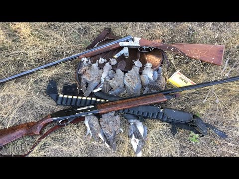 Видео: Охота на голубя 2017/ Сумасшедший перелет голубя, выстрелил все патроны.