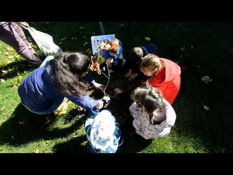 Видео: Засаждане на дръвче в ДГ "Радост" - 2025