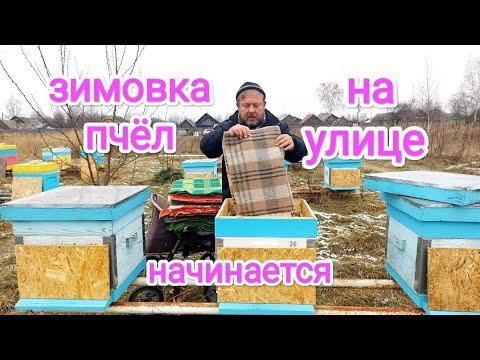 Видео: Утепление и вентиляция пчёл, при зимовке на улице! Пчеловодство!