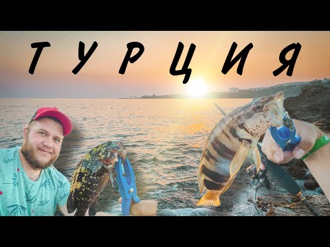 Видео: Рыбалка в Турции. Рокфишинг