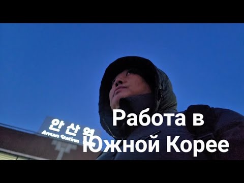 Видео: Влияние пошлин США на рынок труда в Южной Корее #korea #работавкорее
