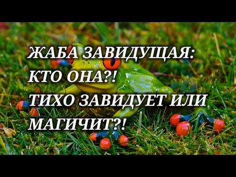 Видео: 🍀🤬 ВАША ЖАБА - ЗАВИСТНИЦА!!! ТИХО ЗАВИДУЕТ ИЛИ МАГИЧИТ?! #магиятаро #magic #tarot #жаба #зависть
