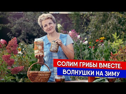 Видео: Как засолить волнушки на зиму