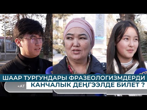 Видео: ШААР ТУРГУНДАРЫ ФРАЗЕОЛОГИЗМДЕРДИ КАНЧАЛЫК ДЕҢГЭЭЛДЕ БИЛЕТ?