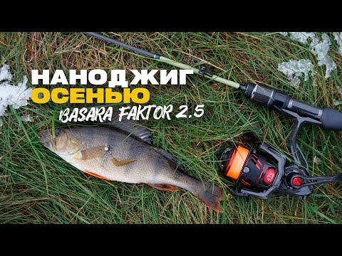 Видео: Окунь на Наноджиг почти Зимой на Микро Речке Спиннинг Lucky John Basara Faktor 2.5 в Работе